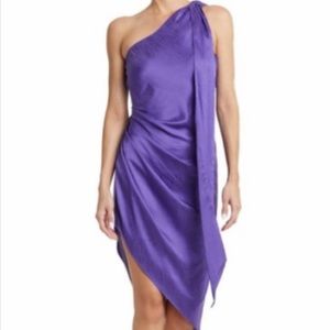 Ronny Kobo Zoe One Shoulder Silk Midi Dress NWOT